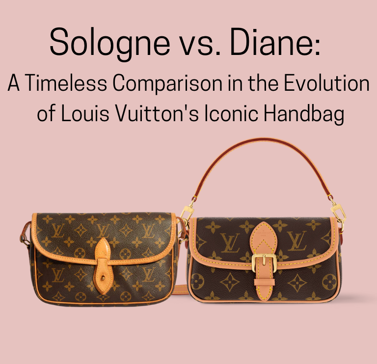 Sologne vs. Diane: A Timeless Comparison of the Iconic Bag – LuxUness