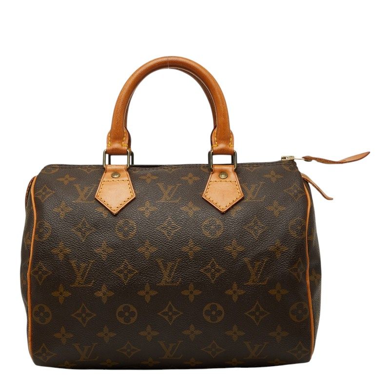 Louis Vuitton Monogram Handbag