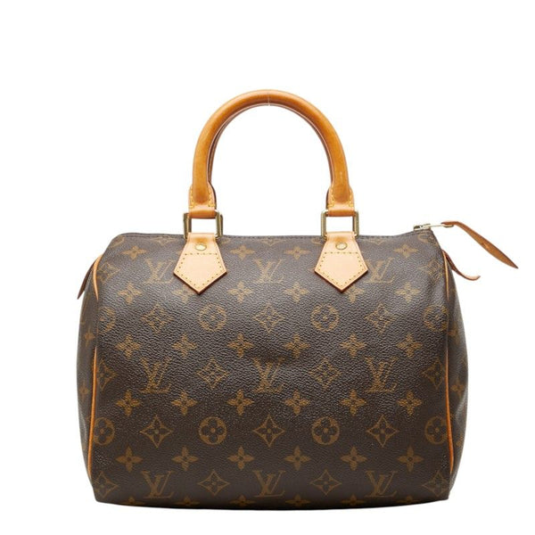 Louis Vuitton Monogram Handbag