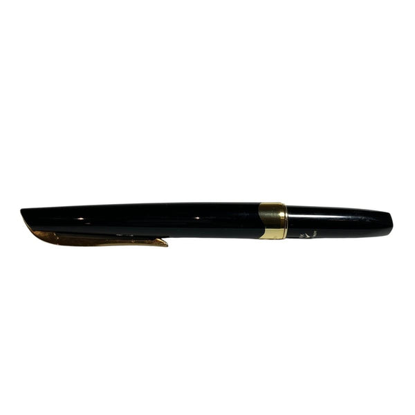 Platinum 3776 Au750 Fountain Pen