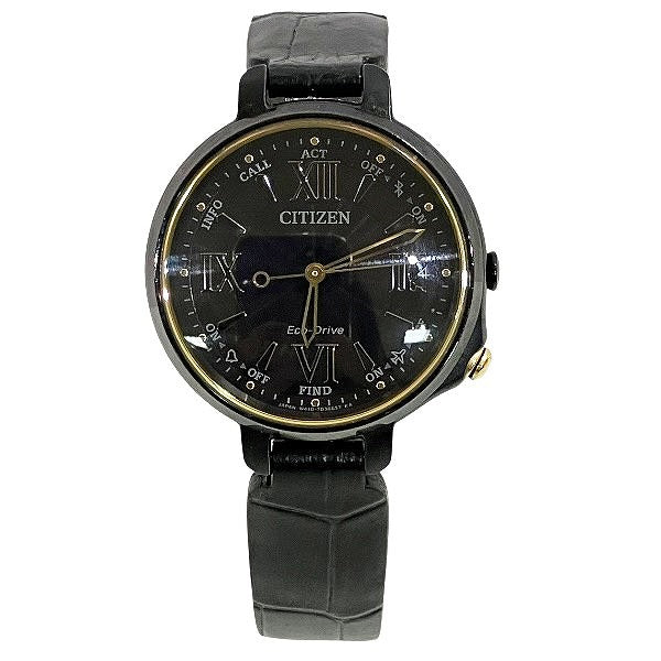Citizen Eco-Drive Stainless Steel Watch