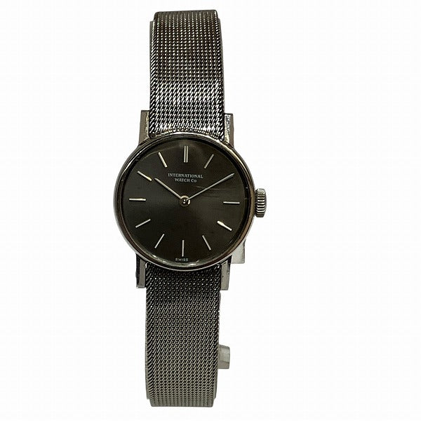 IWC Stainless Steel Watch