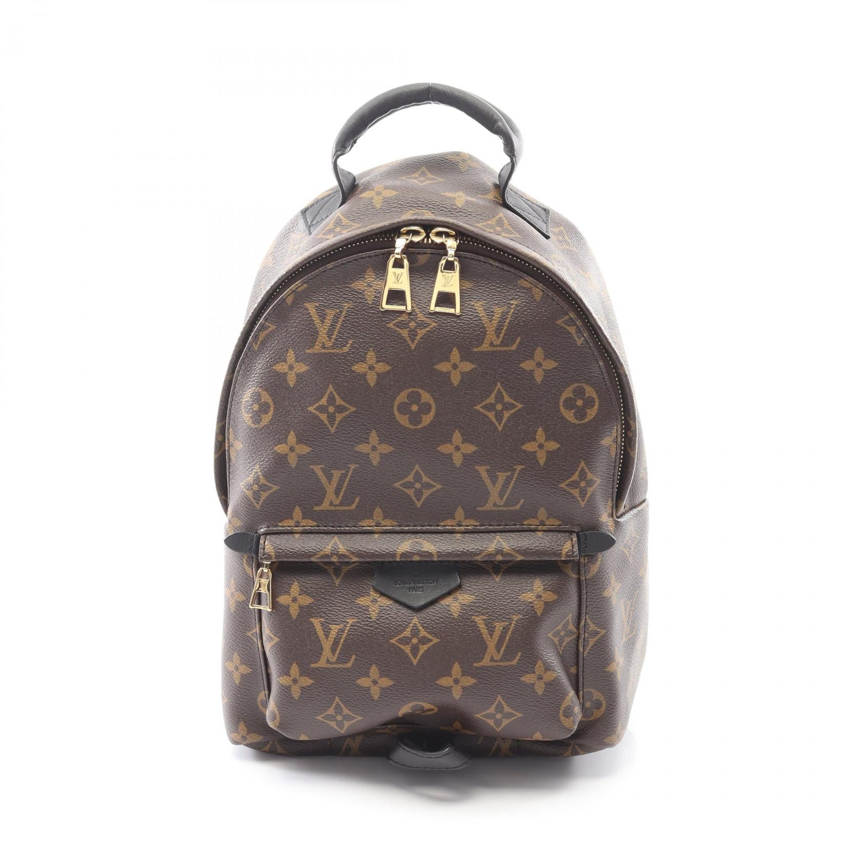 Louis Vuitton Palm Springs PM Monogram Backpack