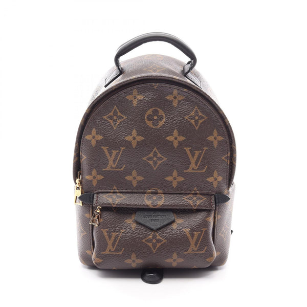 Louis Vuitton Palm Springs Monogram Backpack