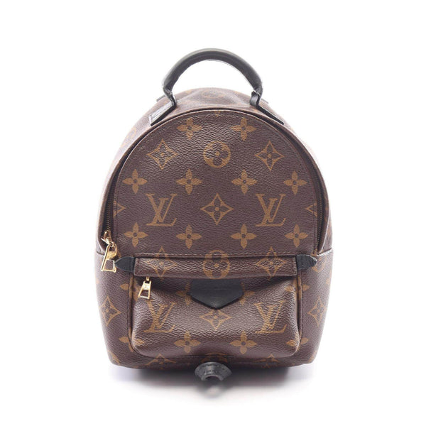 Louis Vuitton Palm Springs Monogram Backpack