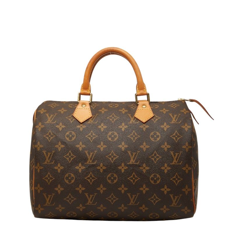 Louis Vuitton Monogram Handbag