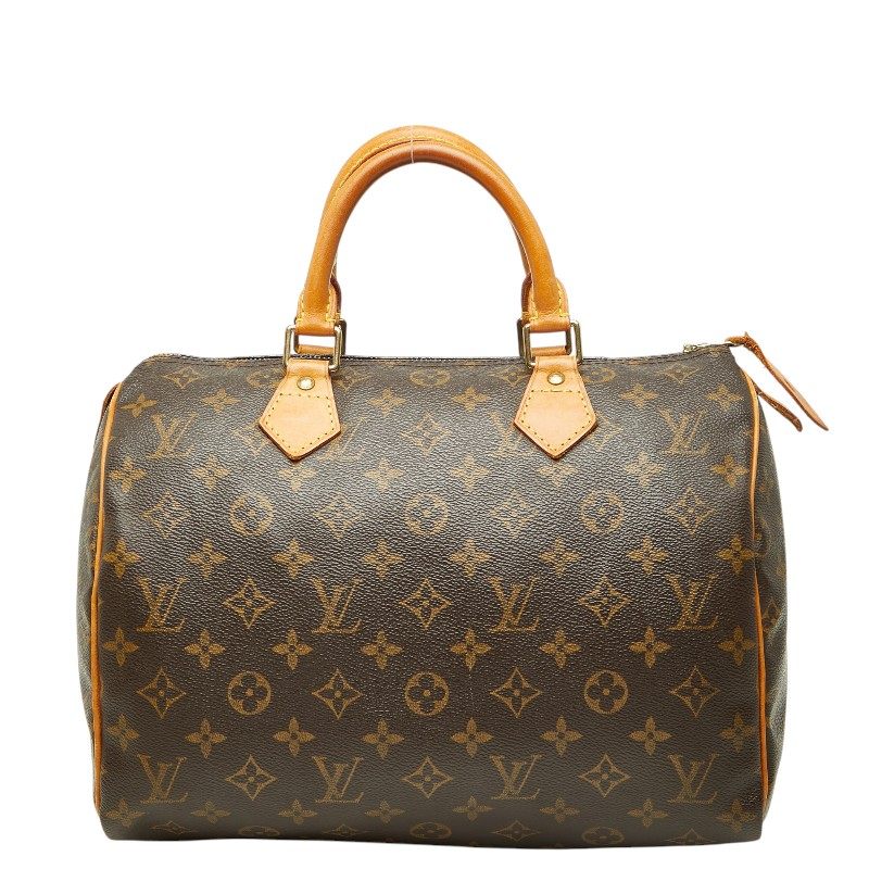 Louis Vuitton Monogram Handbag
