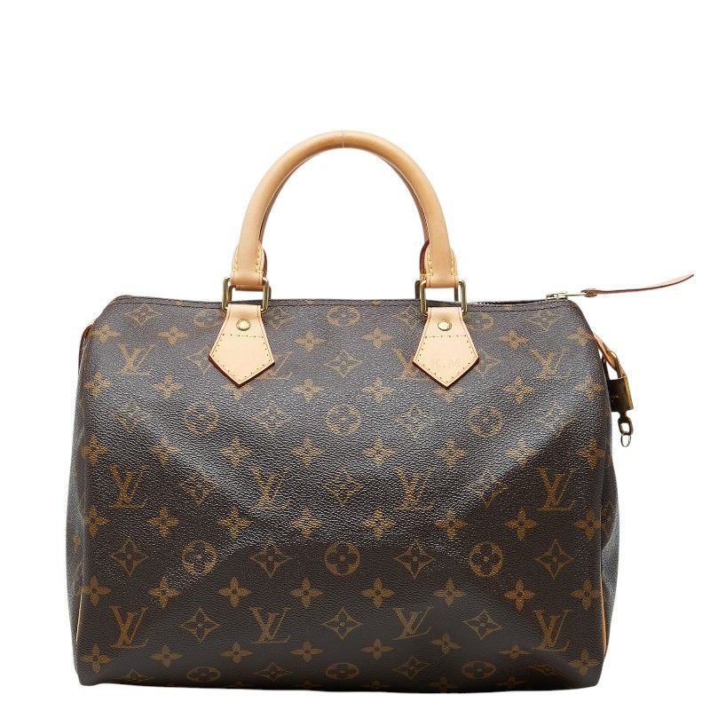 Louis Vuitton Monogram Handbag