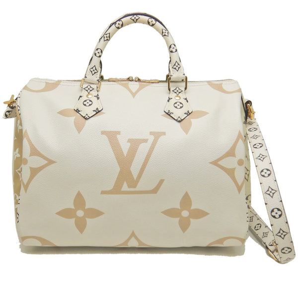 Louis Vuitton Monogram Giant Bag