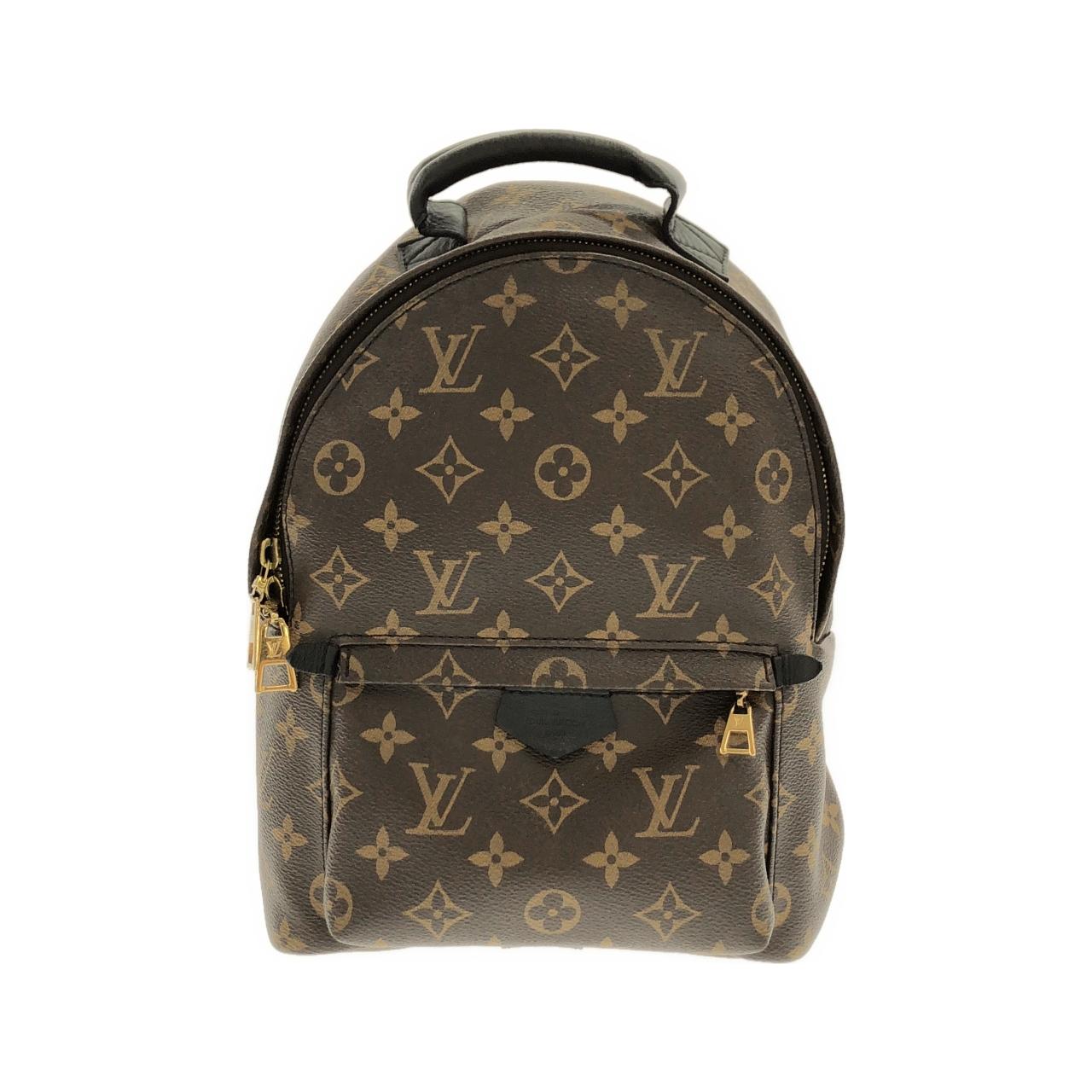 Louis Vuitton Palm Springs Monogram Backpack