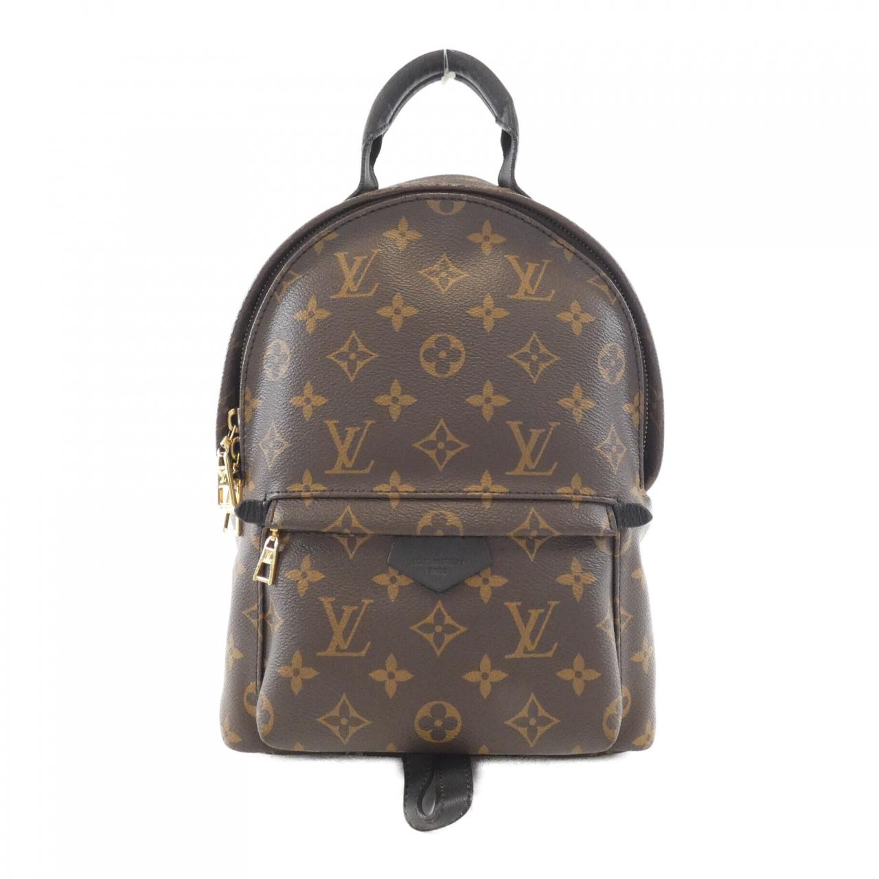 Louis Vuitton Palm Springs Monogram Backpack