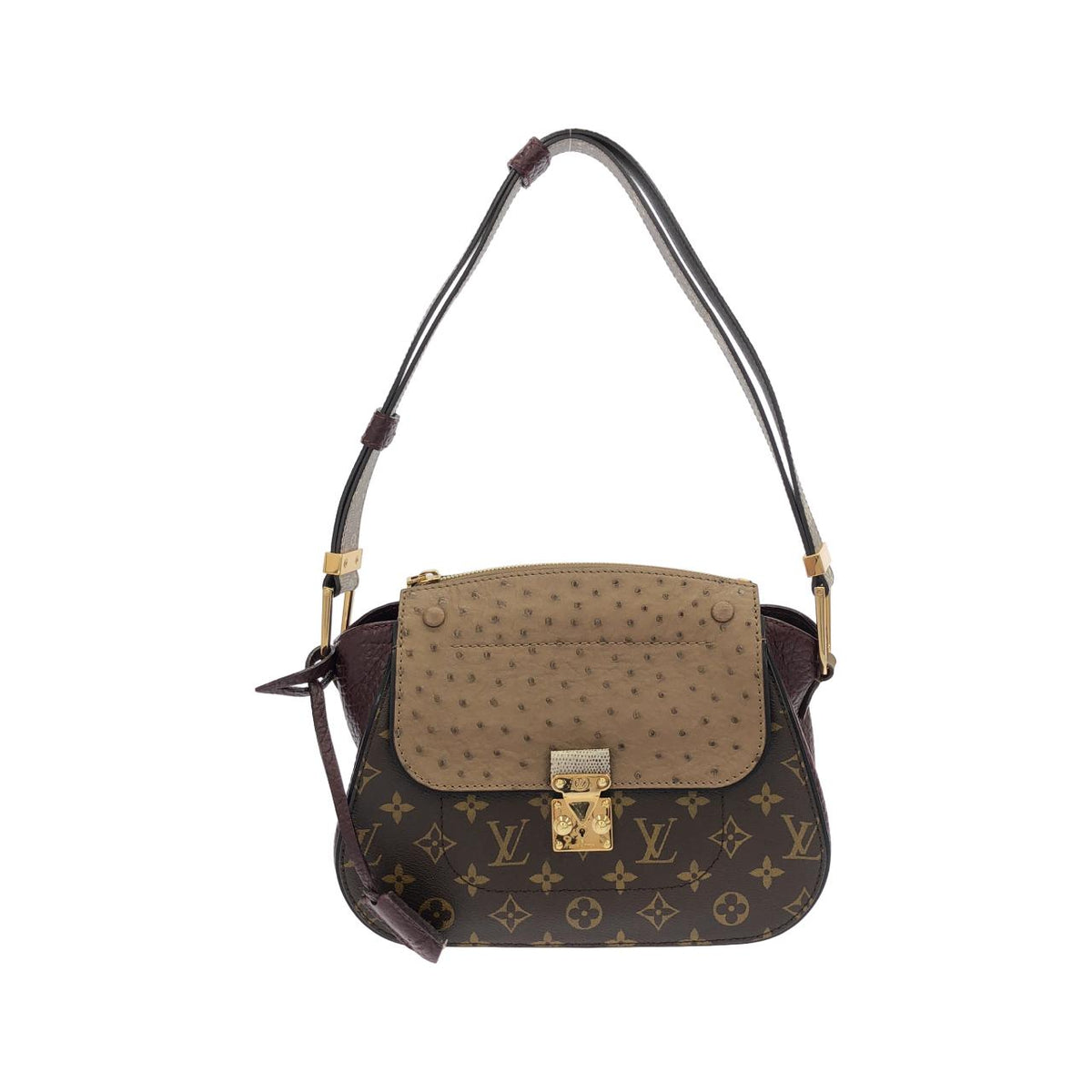 Louis Vuitton Monogram Exotic shoulder bag