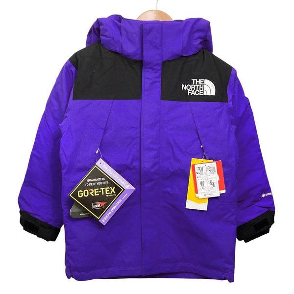 THE NORTH FACE GORE-TEX Insulated Jacket