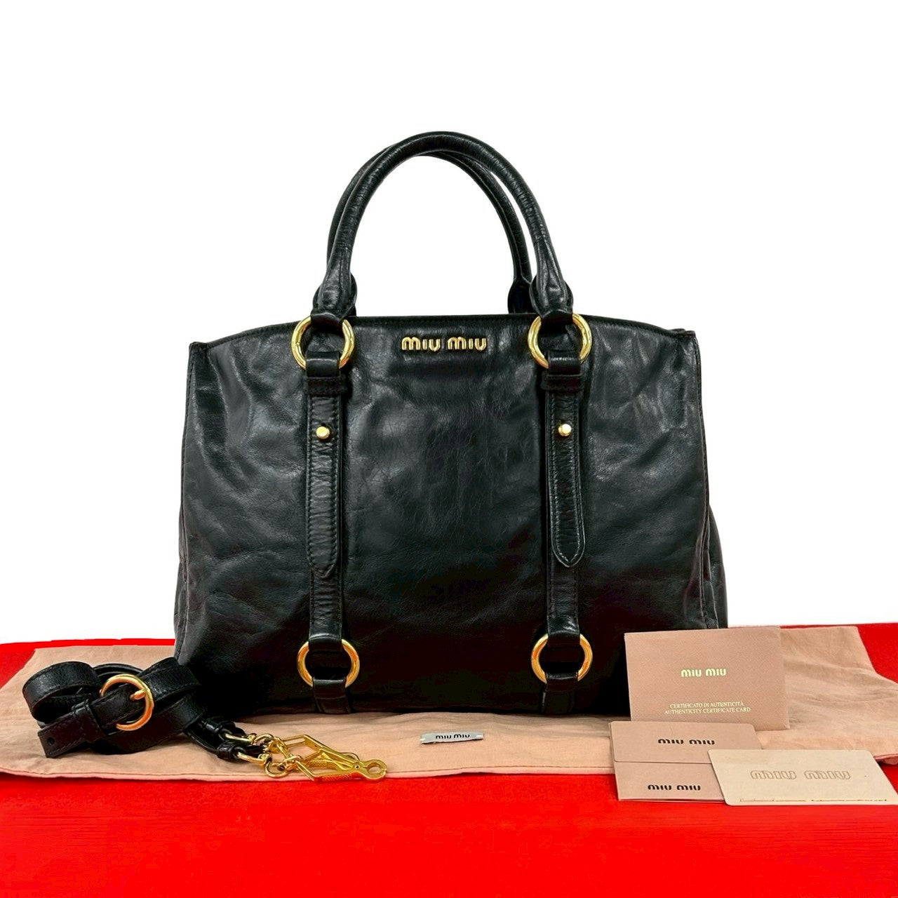 Miu Miu Leather 2way Bag