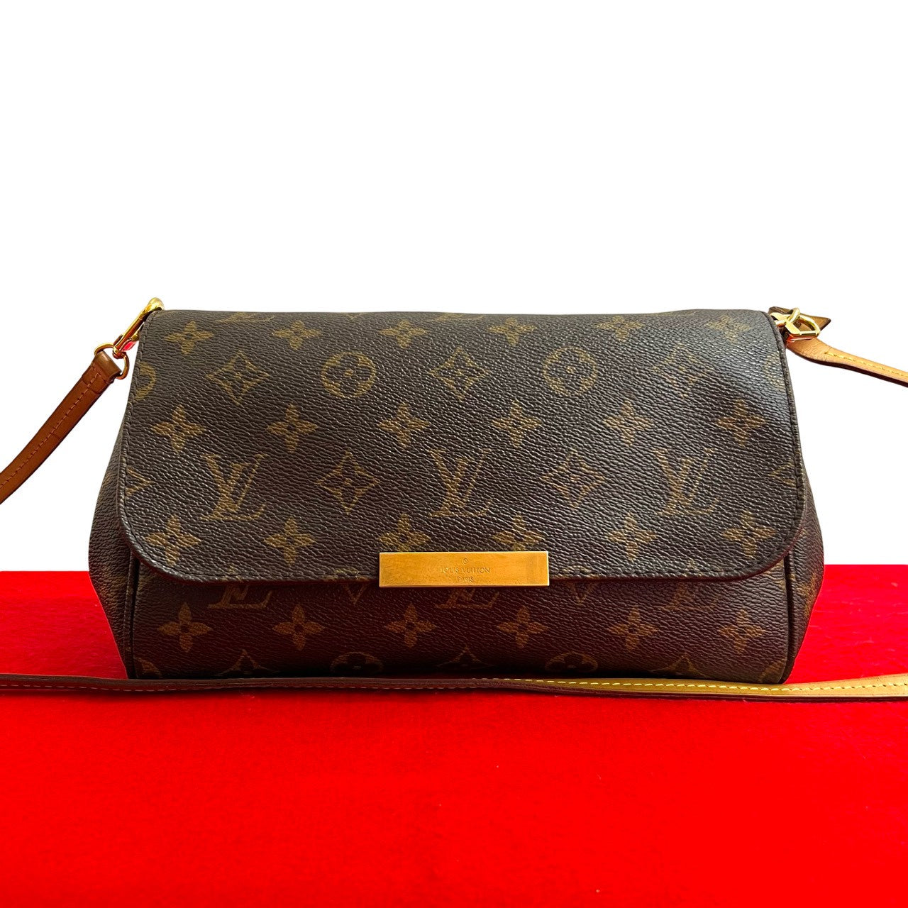 Louis Vuitton Favorite Monogram 2way Bag