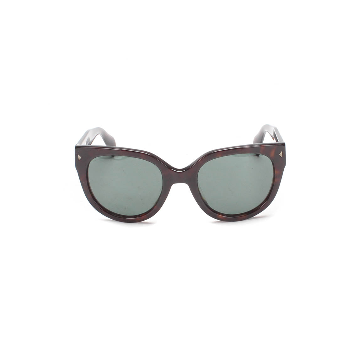 Oversized Tinted Sunglasses