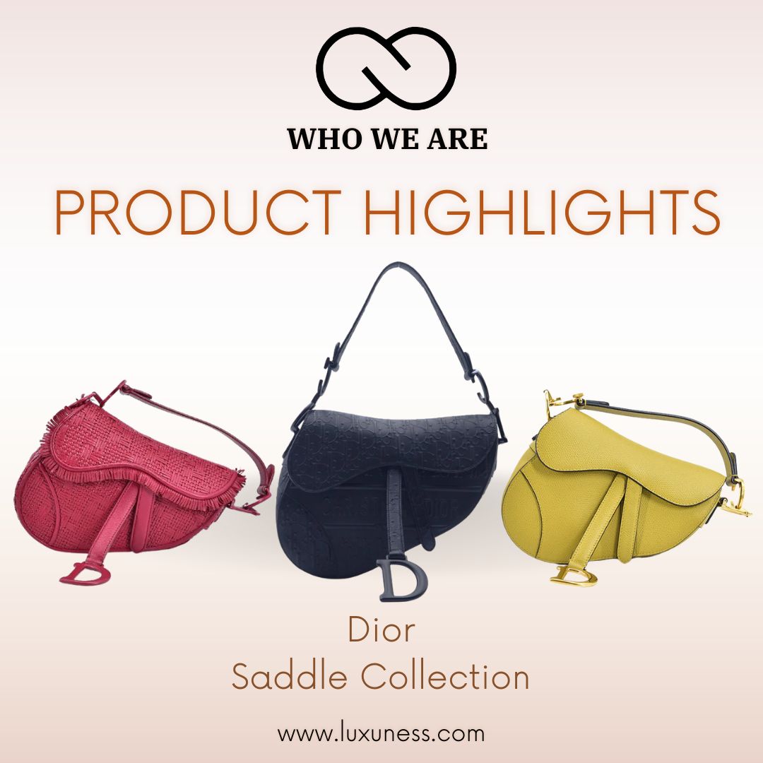 Dior Saddle Collection