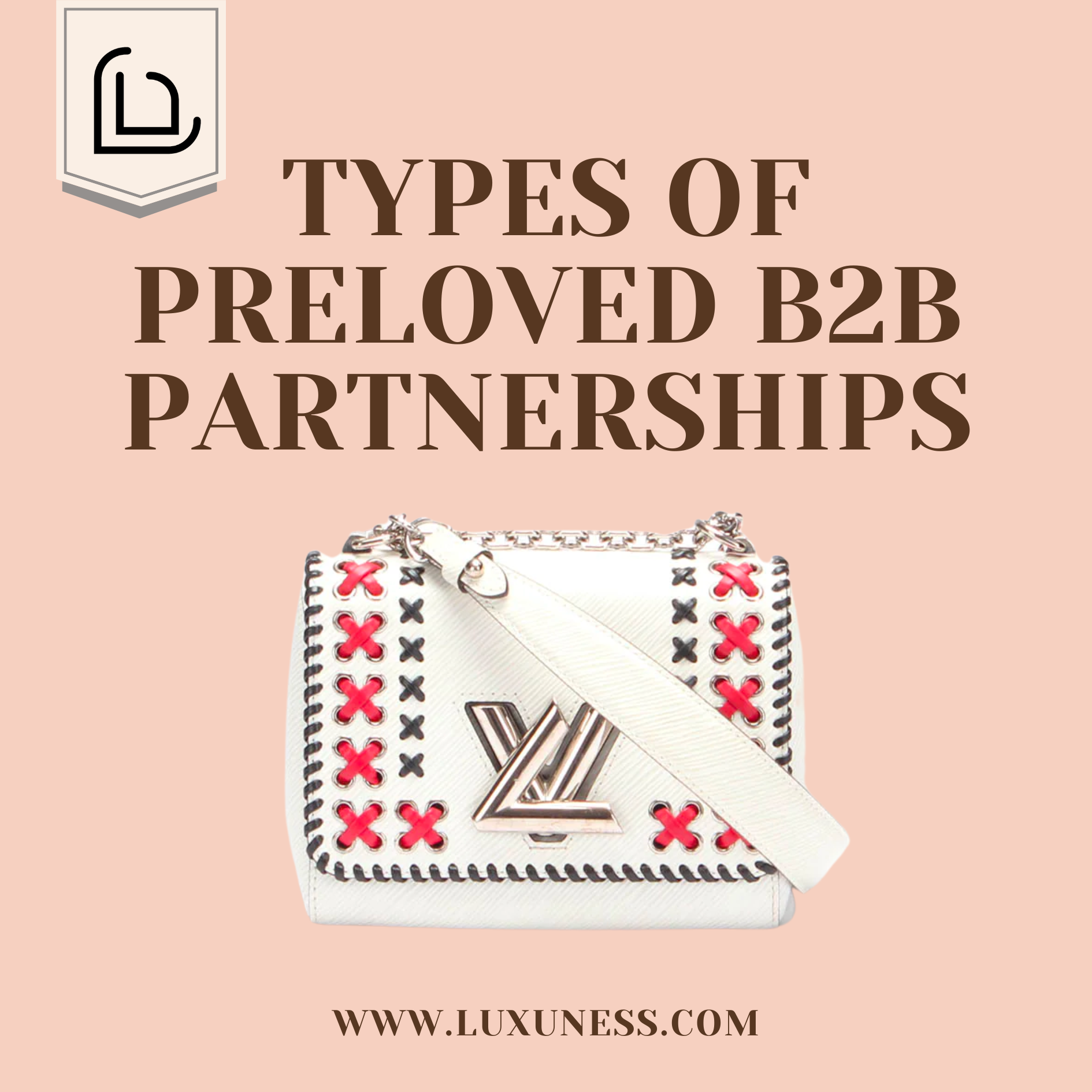Types of Preloved B2B Partnerships