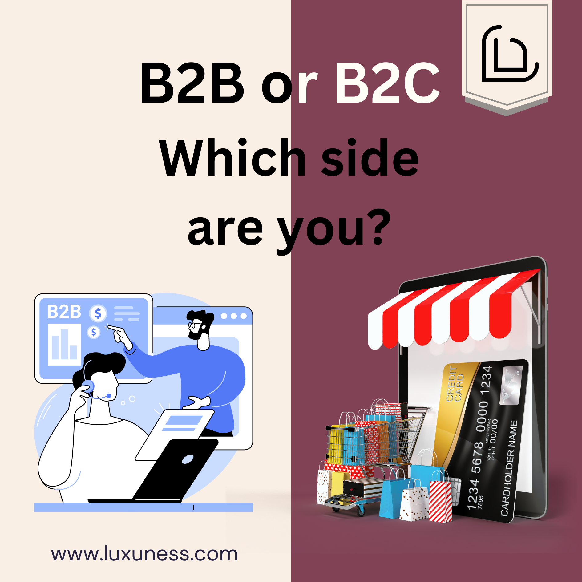 B2B or B2C Ecommerce. Which side are you?