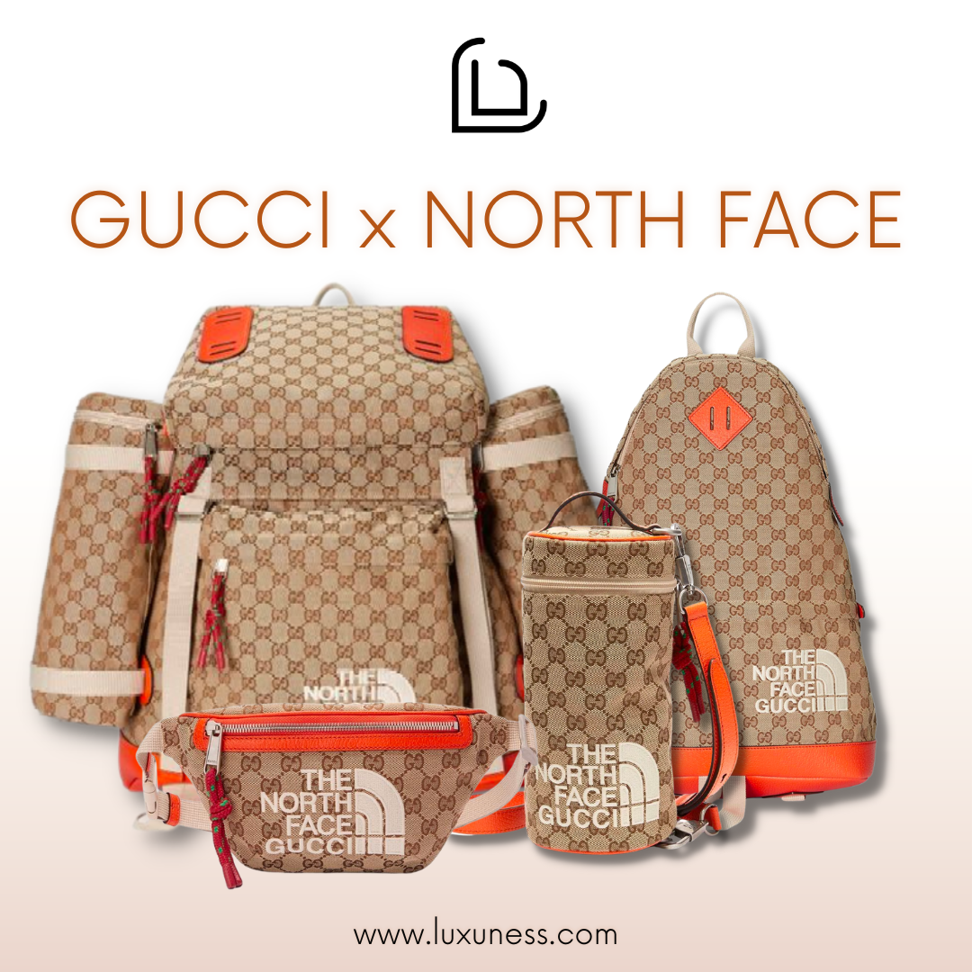 Gucci x North Face Bag