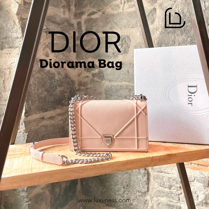 Dior Small Diorama Bag