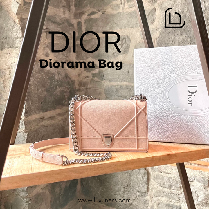 Dior Diorama Bag