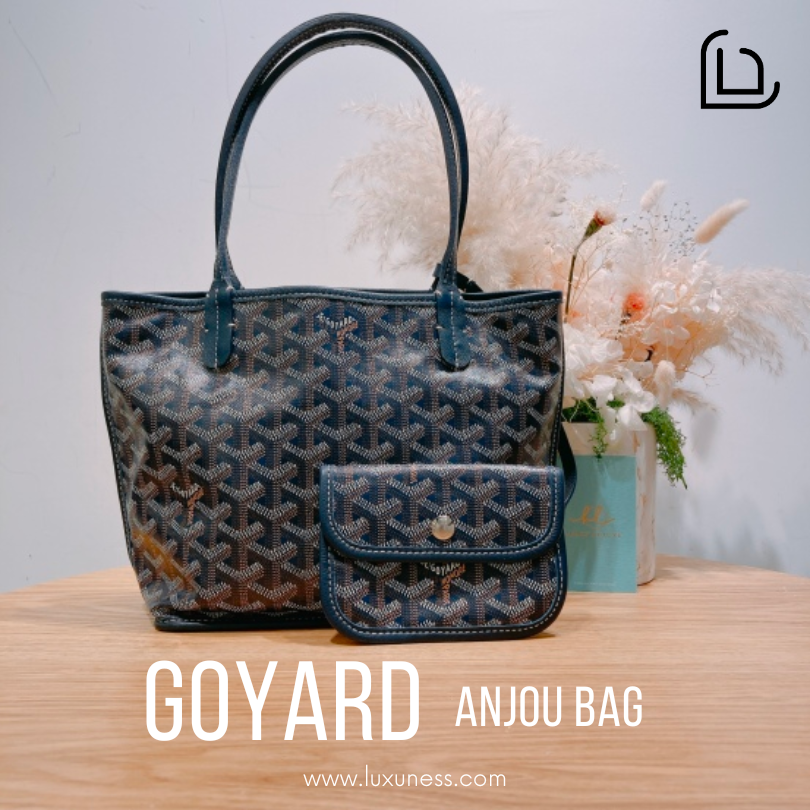 The Goyard Anjou Bag