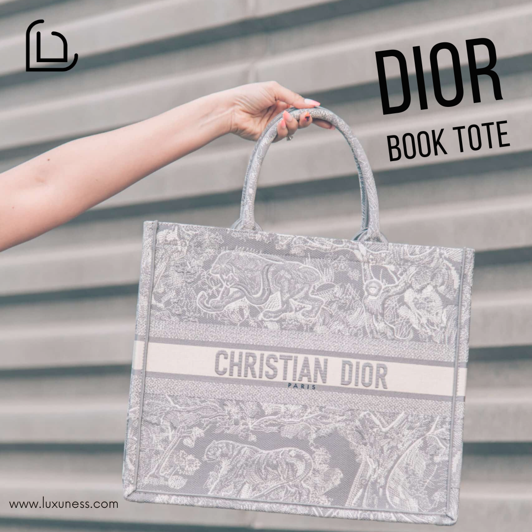 Dior Book Tote Review - Midsize Steph