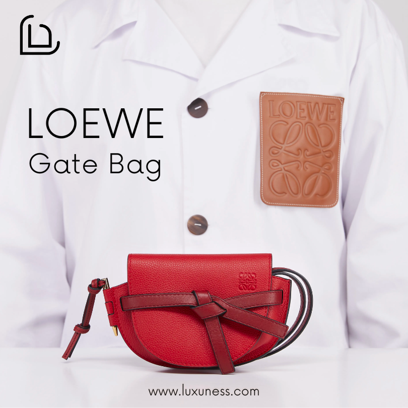 Second Hand Loewe Gate Bag Bags