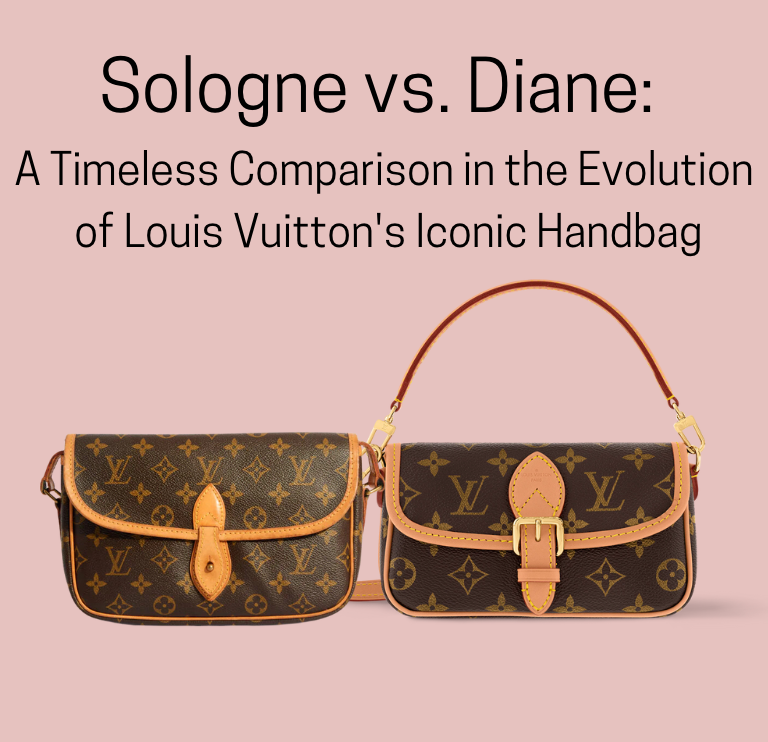 Sologne vs. Diane: A Timeless Comparison  of the Iconic Bag