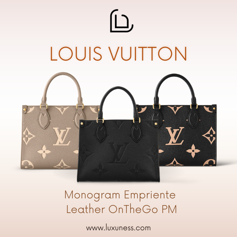 Louis Vuitton Bicolor OnTheGo PM Bag in 2023