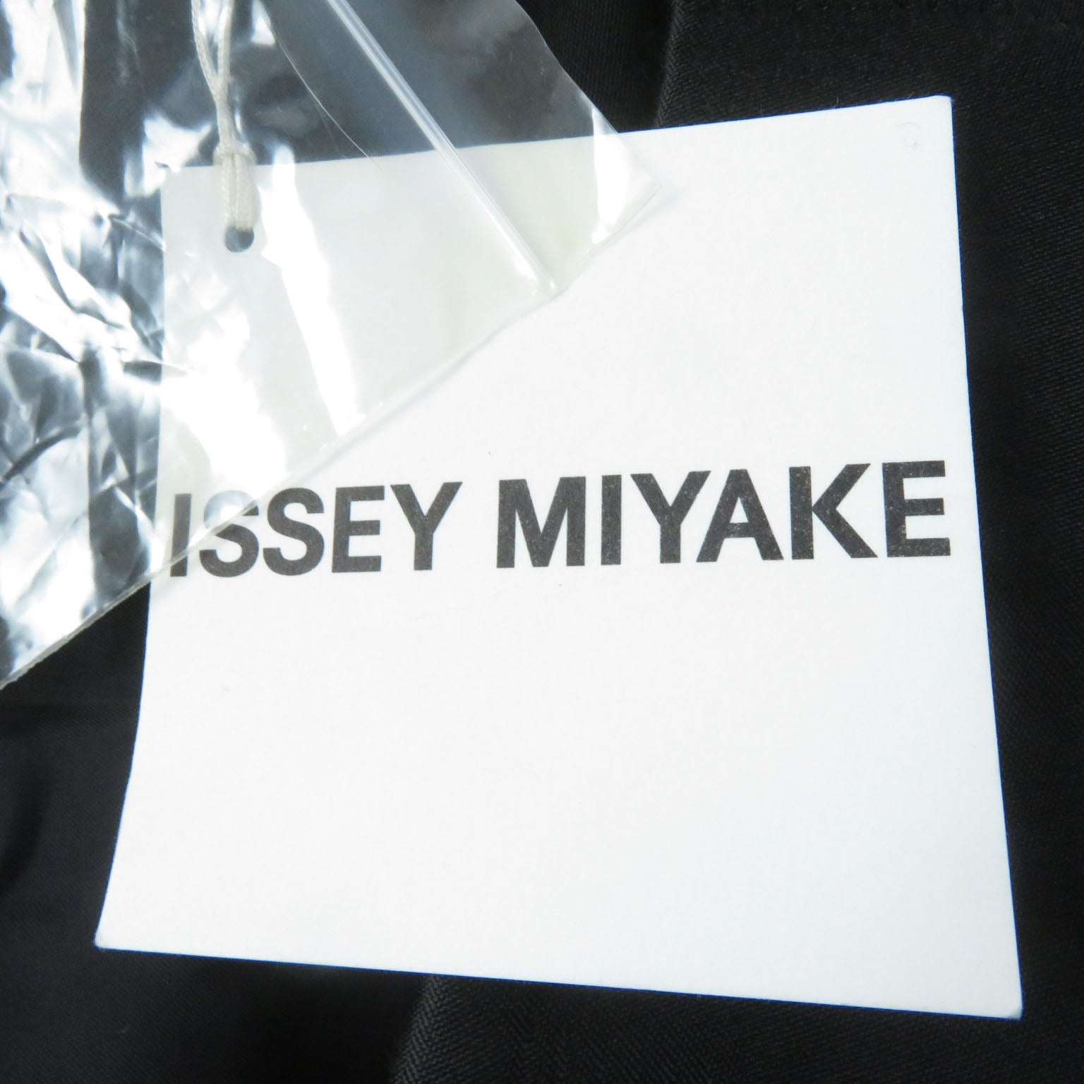 Issey Miyake Pleated Long Skirt Black