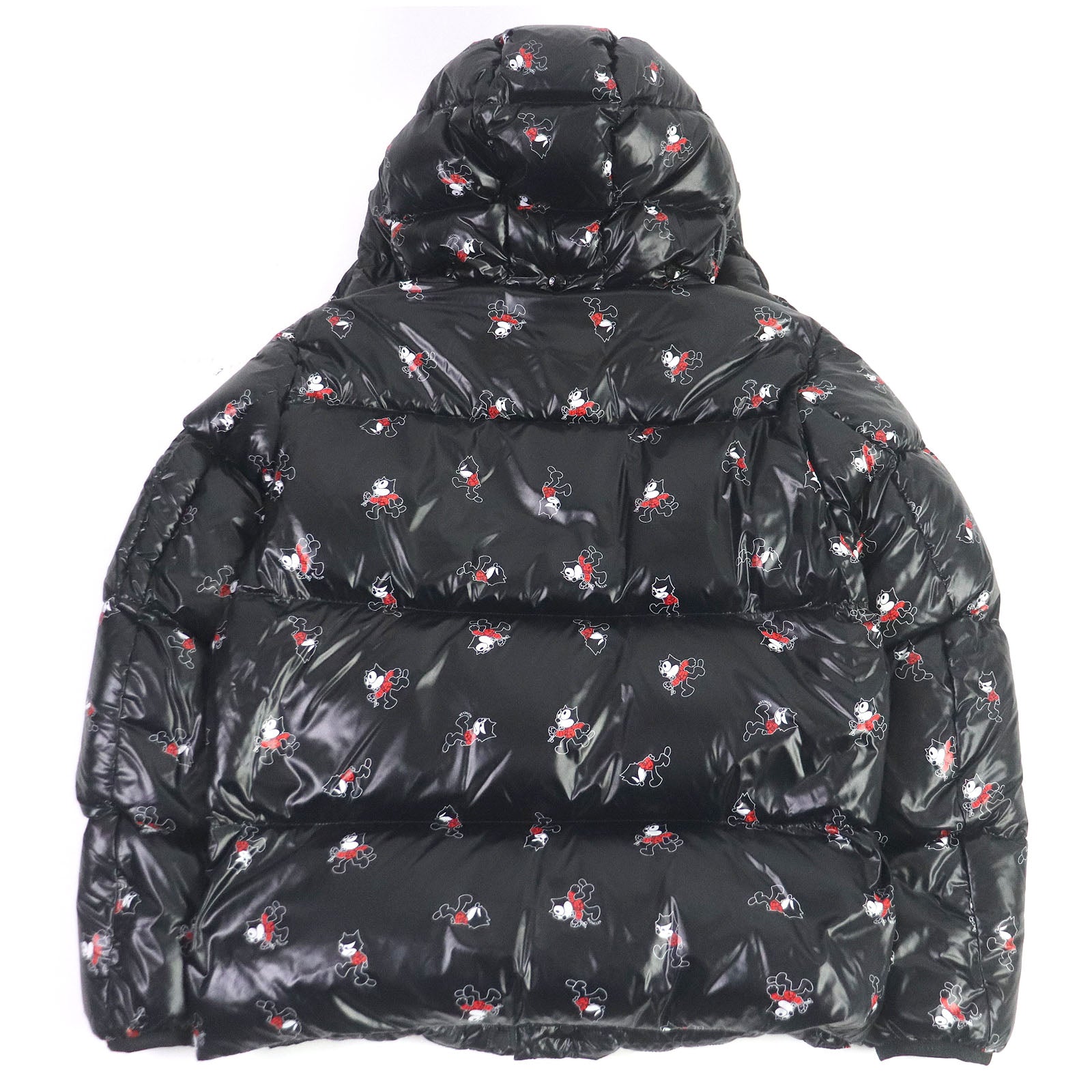 Moncler Nylon Felix WZIP Hoodie Down Jacket