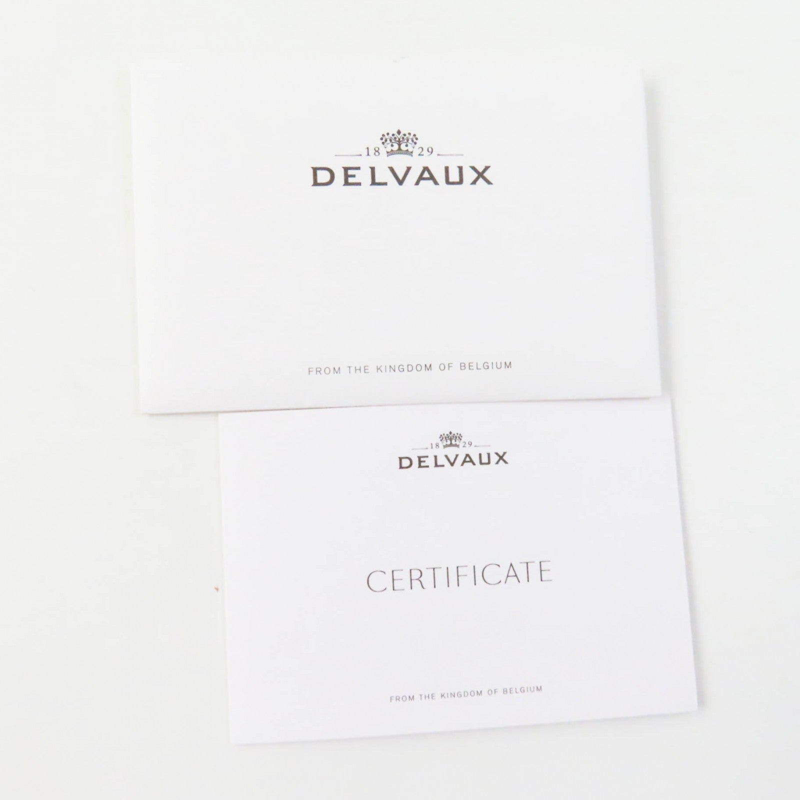 Delvaux Leather Reversible Shoulder Strap