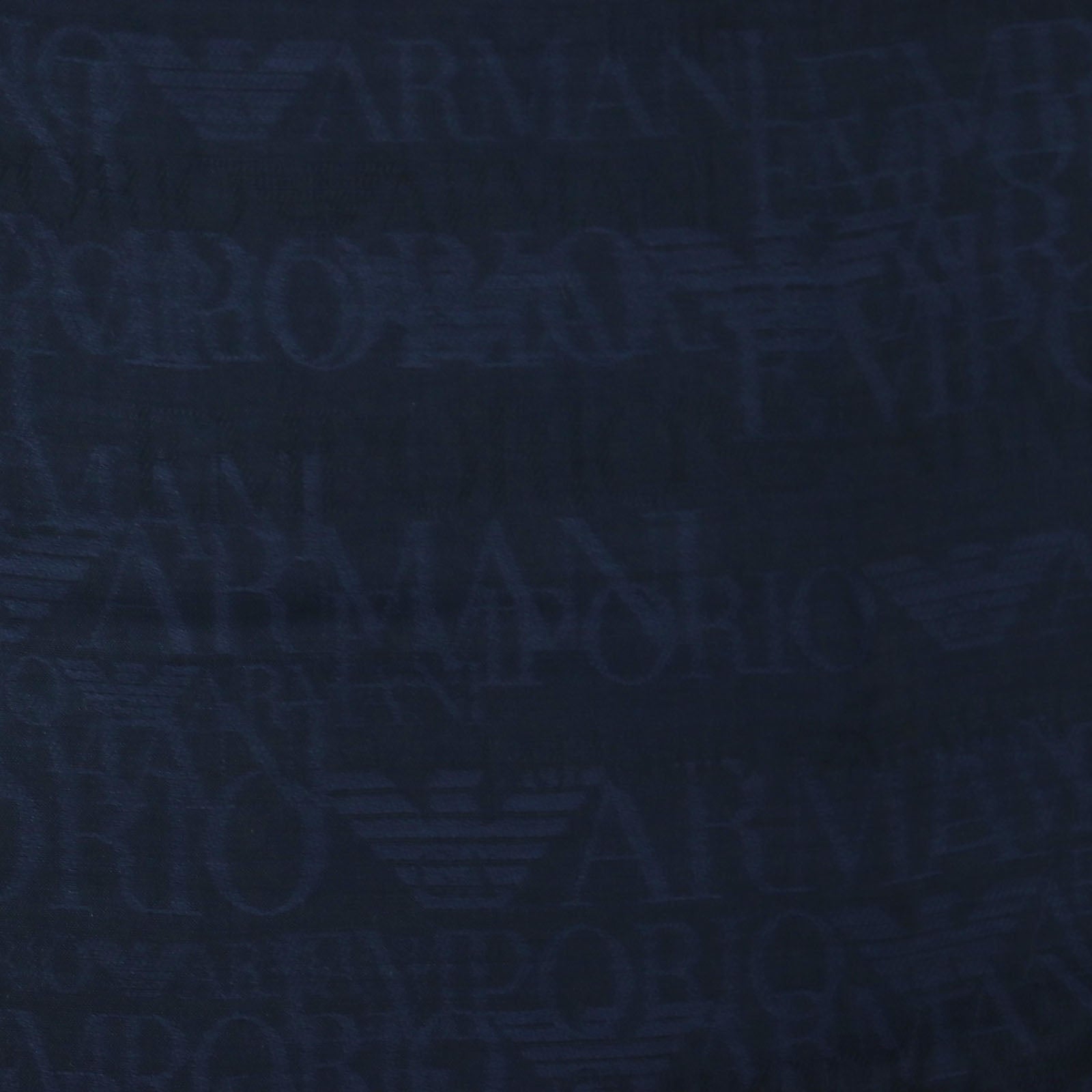 Emporio Armani Wool Rayon Logo Fringe Scarf