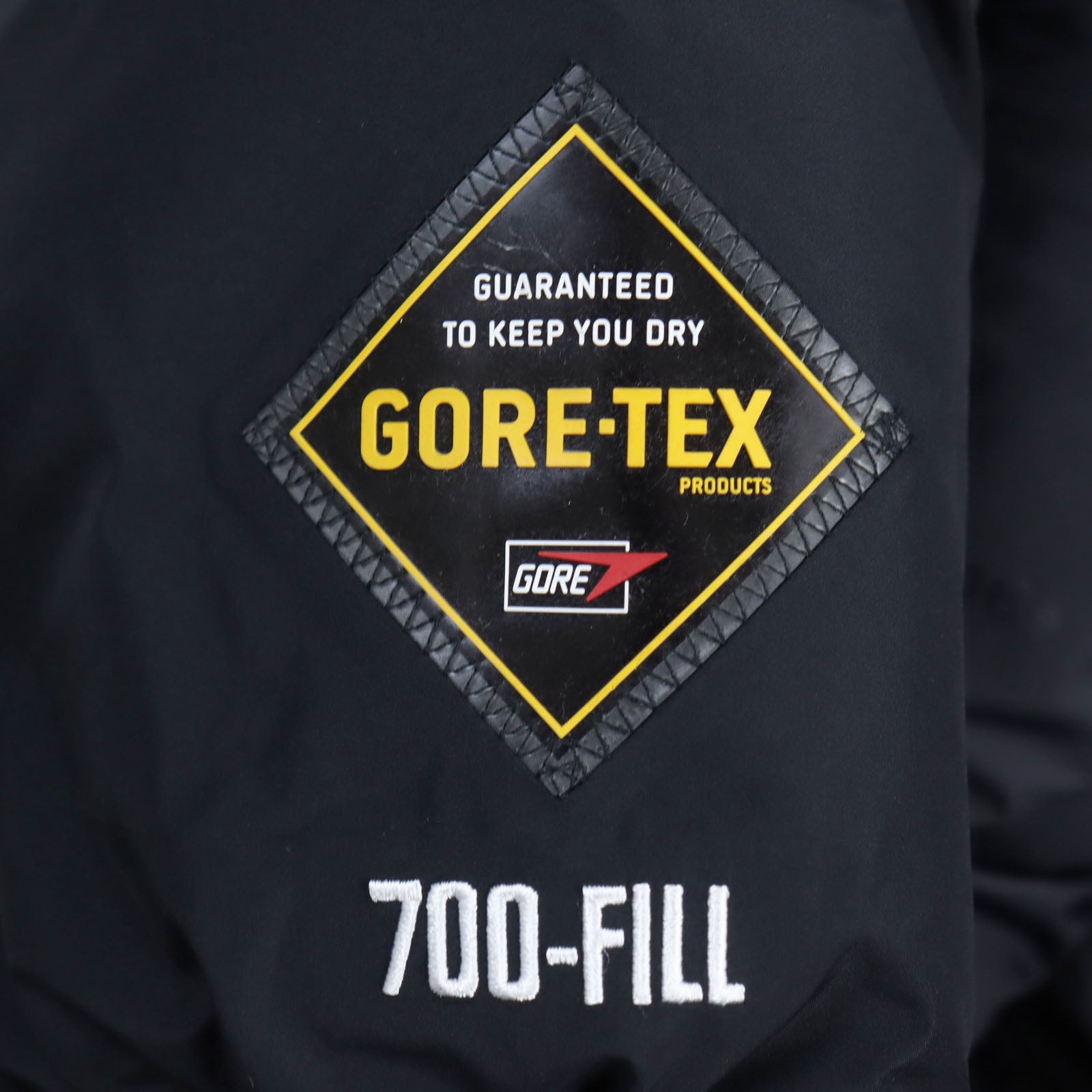 Supreme GORE-TEX 700-Fill Down Parka Jacket