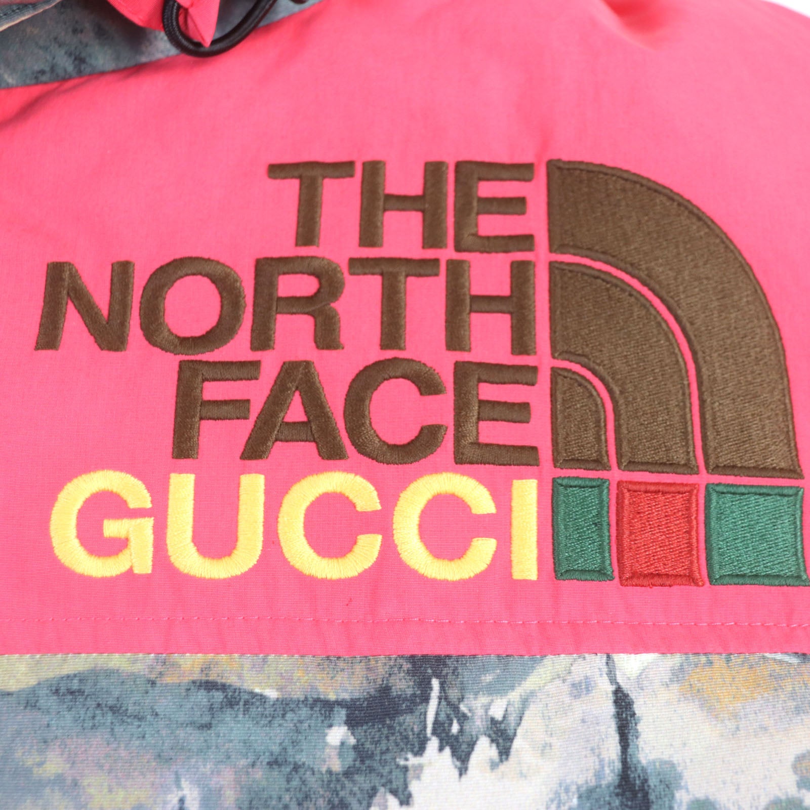 Gucci The North Face Nylon Hooded Down Jacket