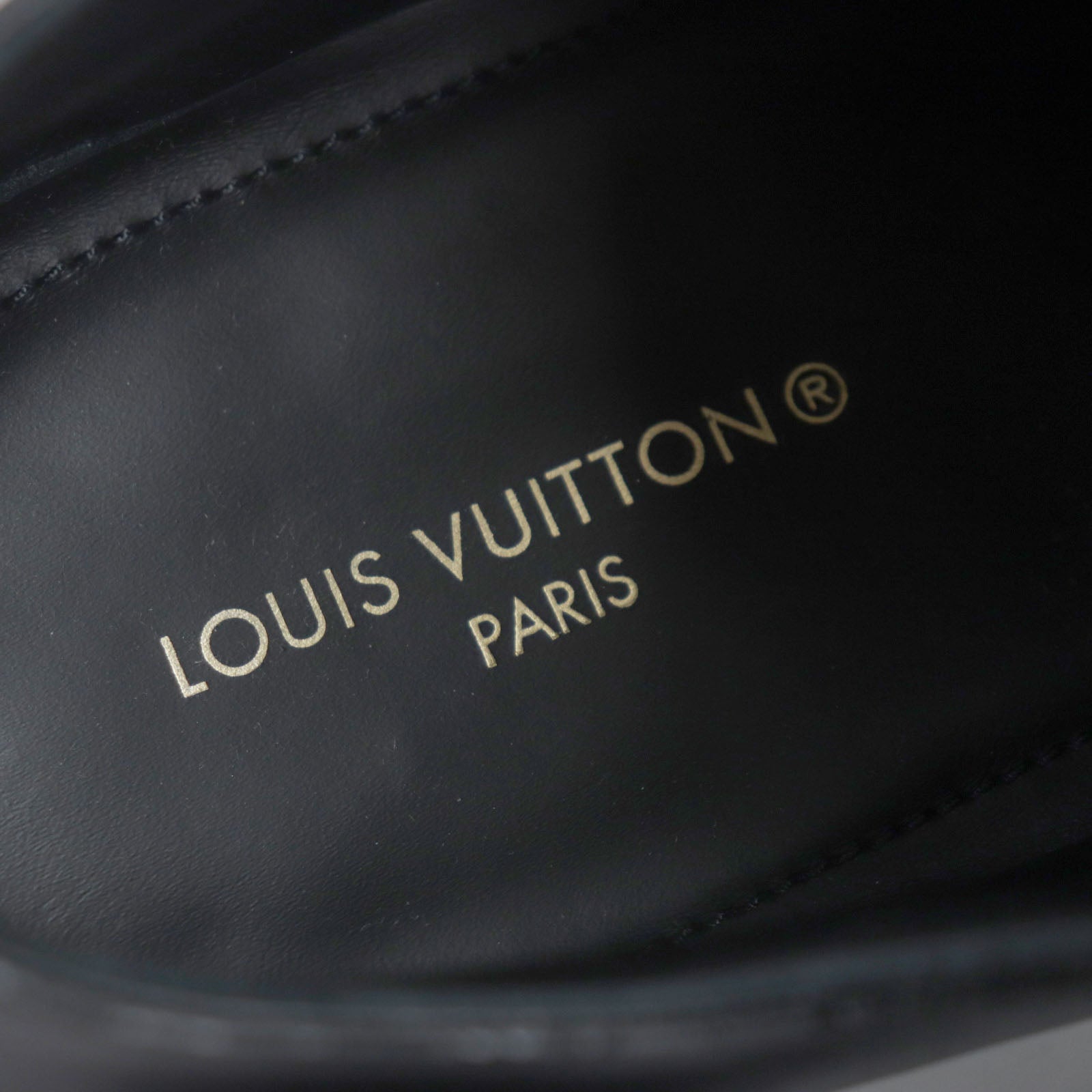 Louis Vuitton Monseau Flex Double Monk Shoes