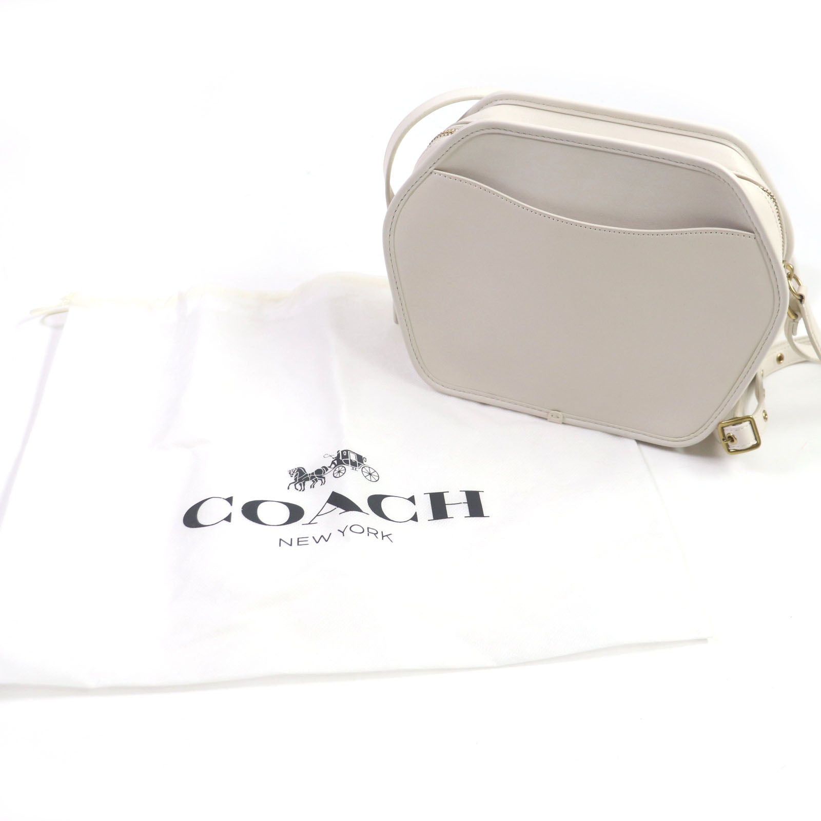 COACH Leather Geometric Pouch Shoulder Bag