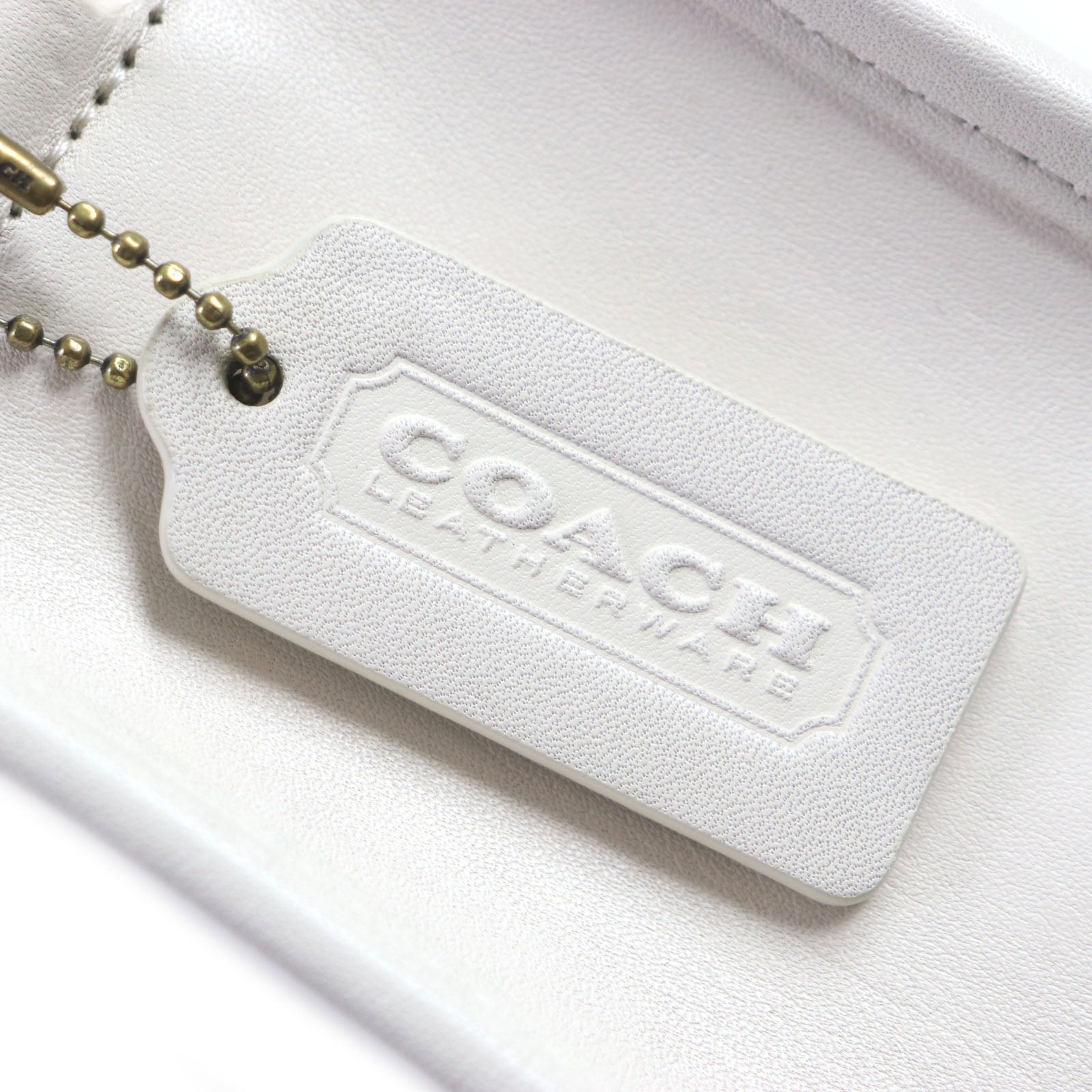 COACH Leather Geometric Pouch Shoulder Bag