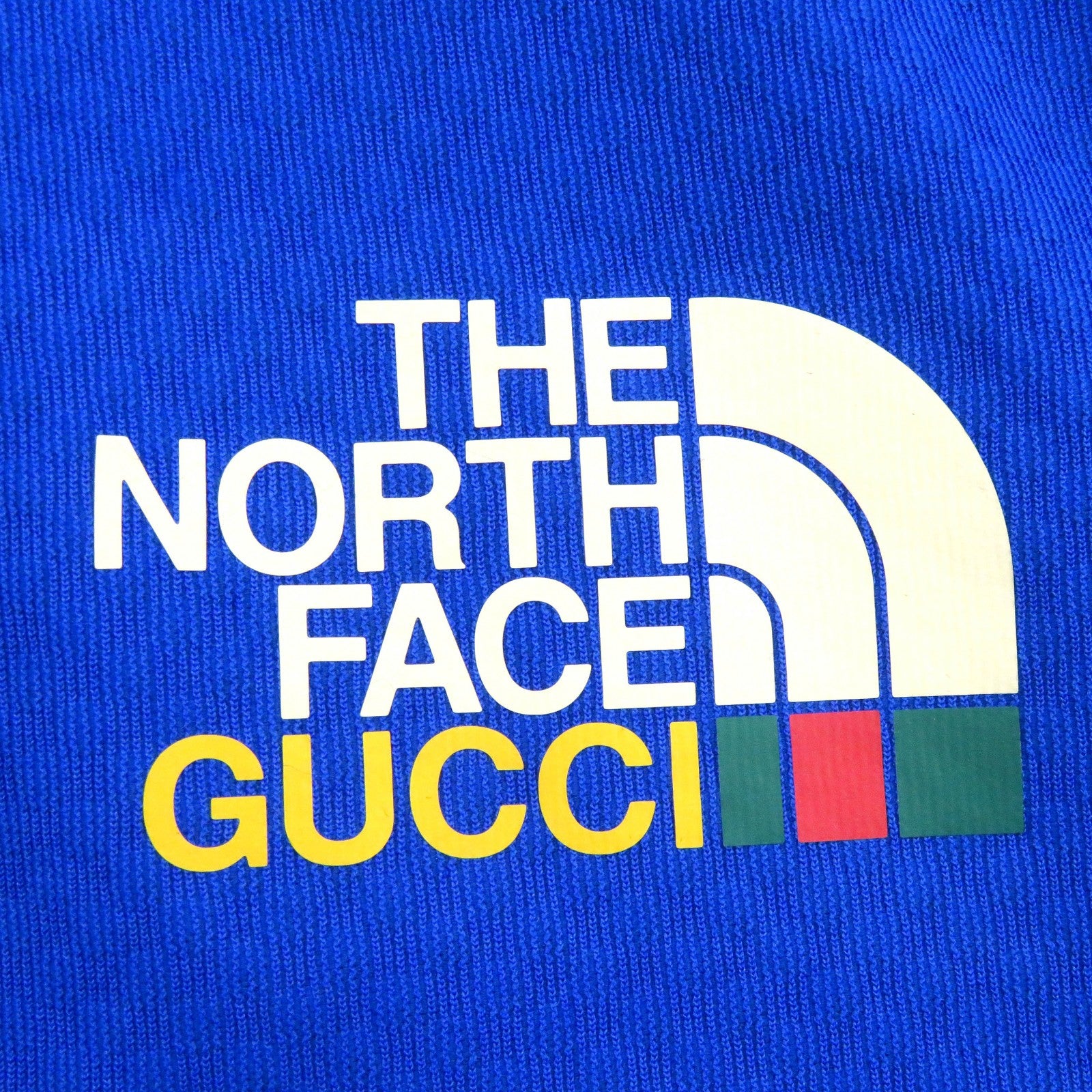 Gucci North Face Fleece Pullover Hoodie L