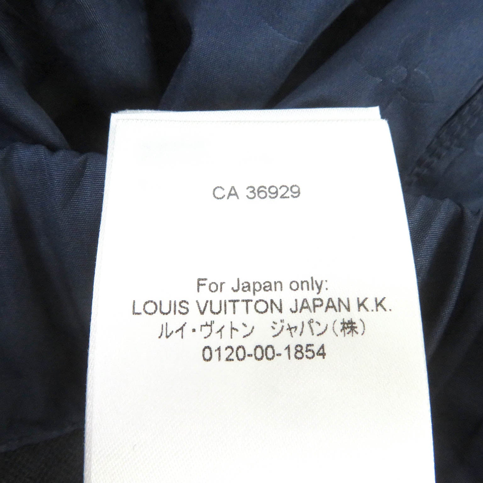 Louis Vuitton 3D Pocket Monogram Board Shorts