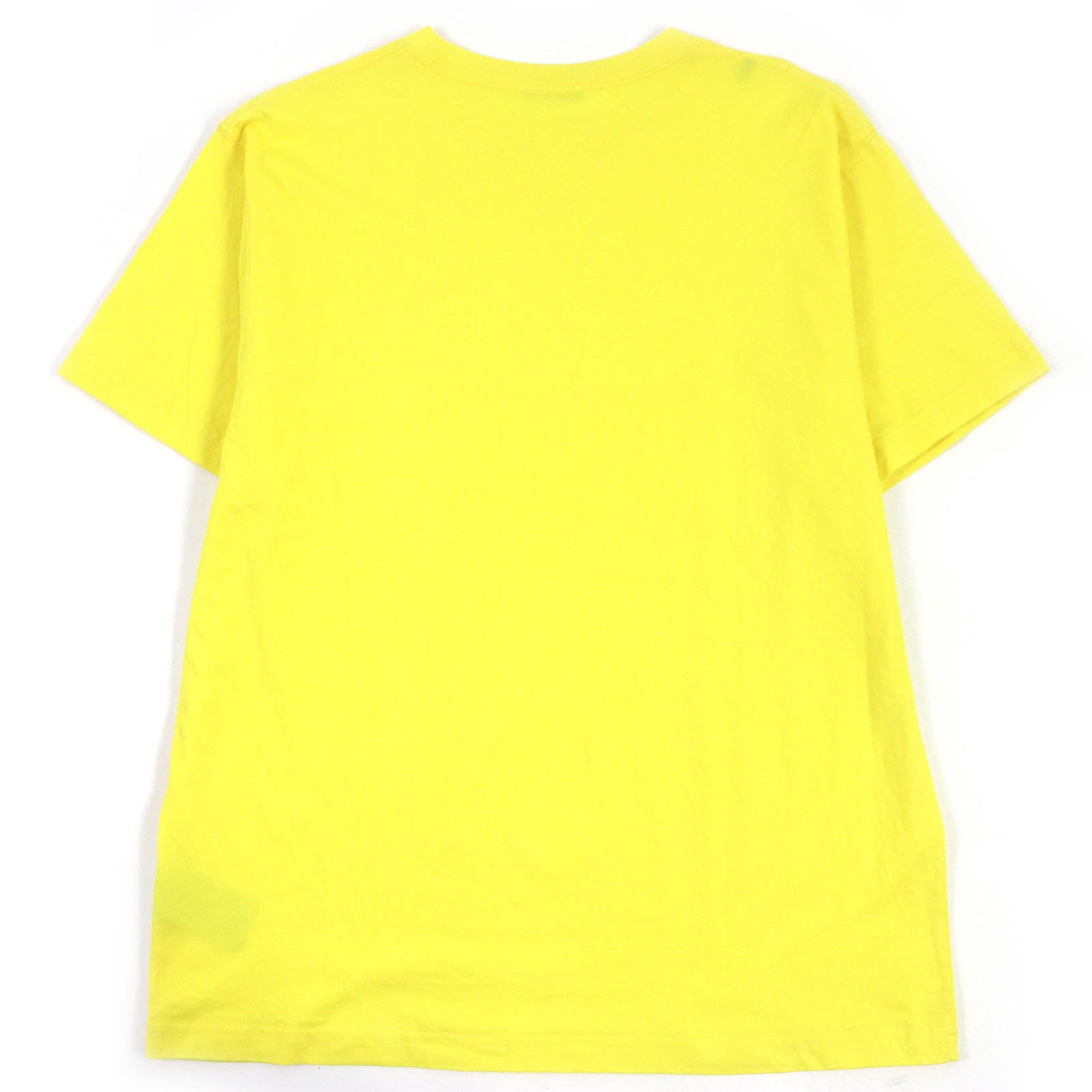 DIOR Peter Doig Logo T-shirt Yellow XL