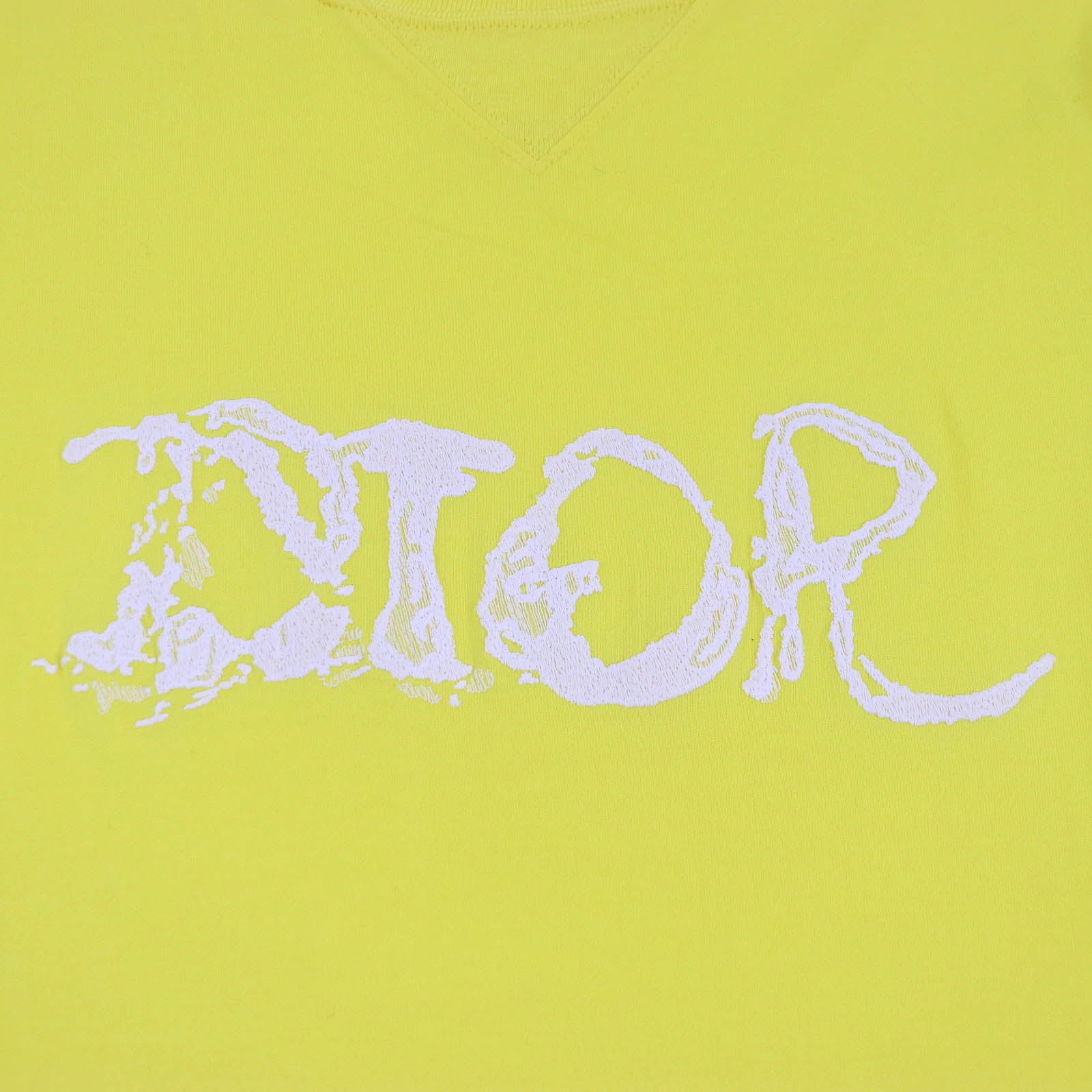 DIOR Peter Doig Logo T-shirt Yellow XL