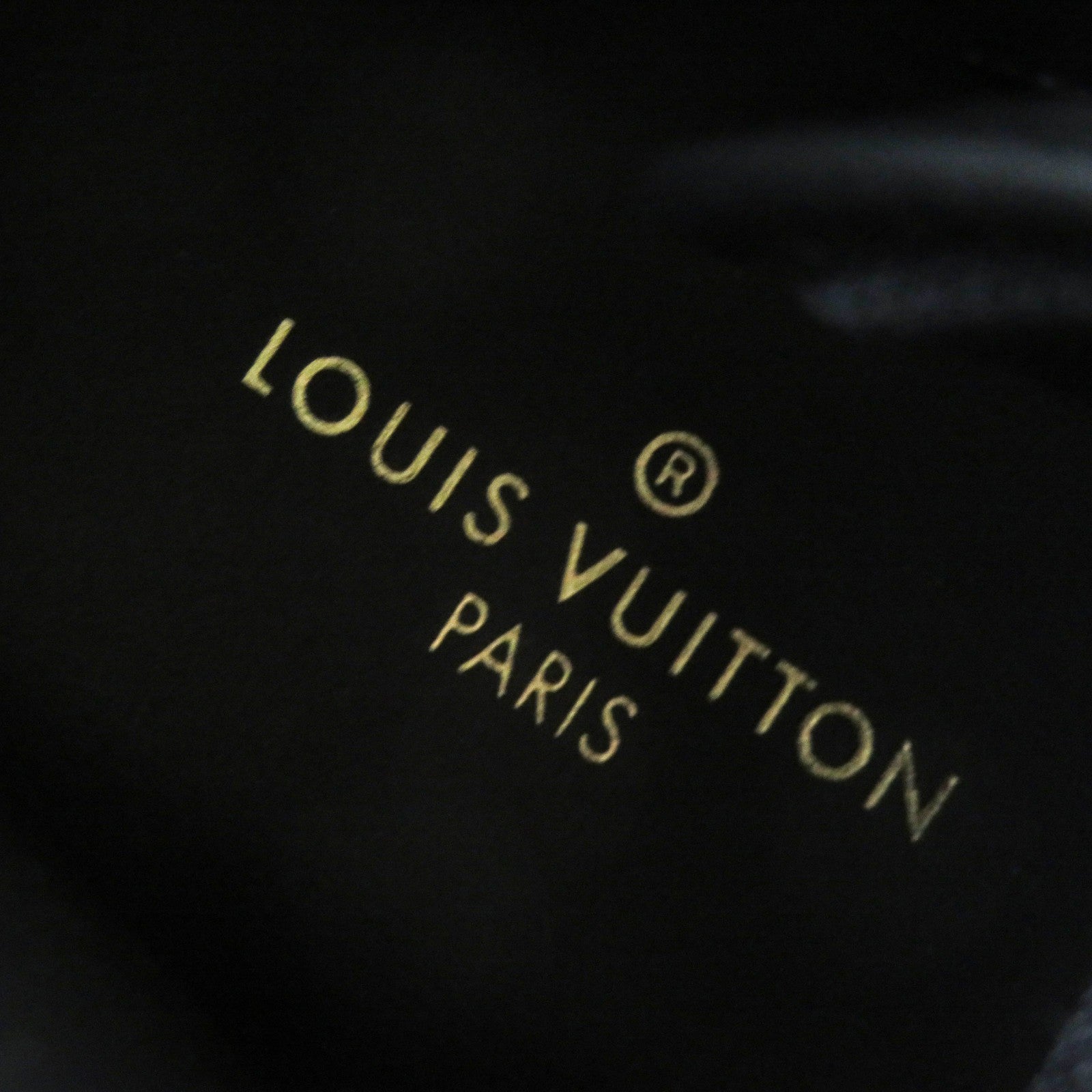 Louis Vuitton Rivoli Crocodile Leather Sneakers