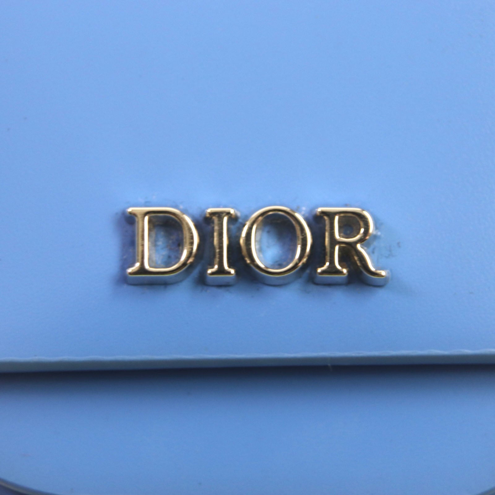 DIOR Leather Metal Logo Earphone Case Key Ring