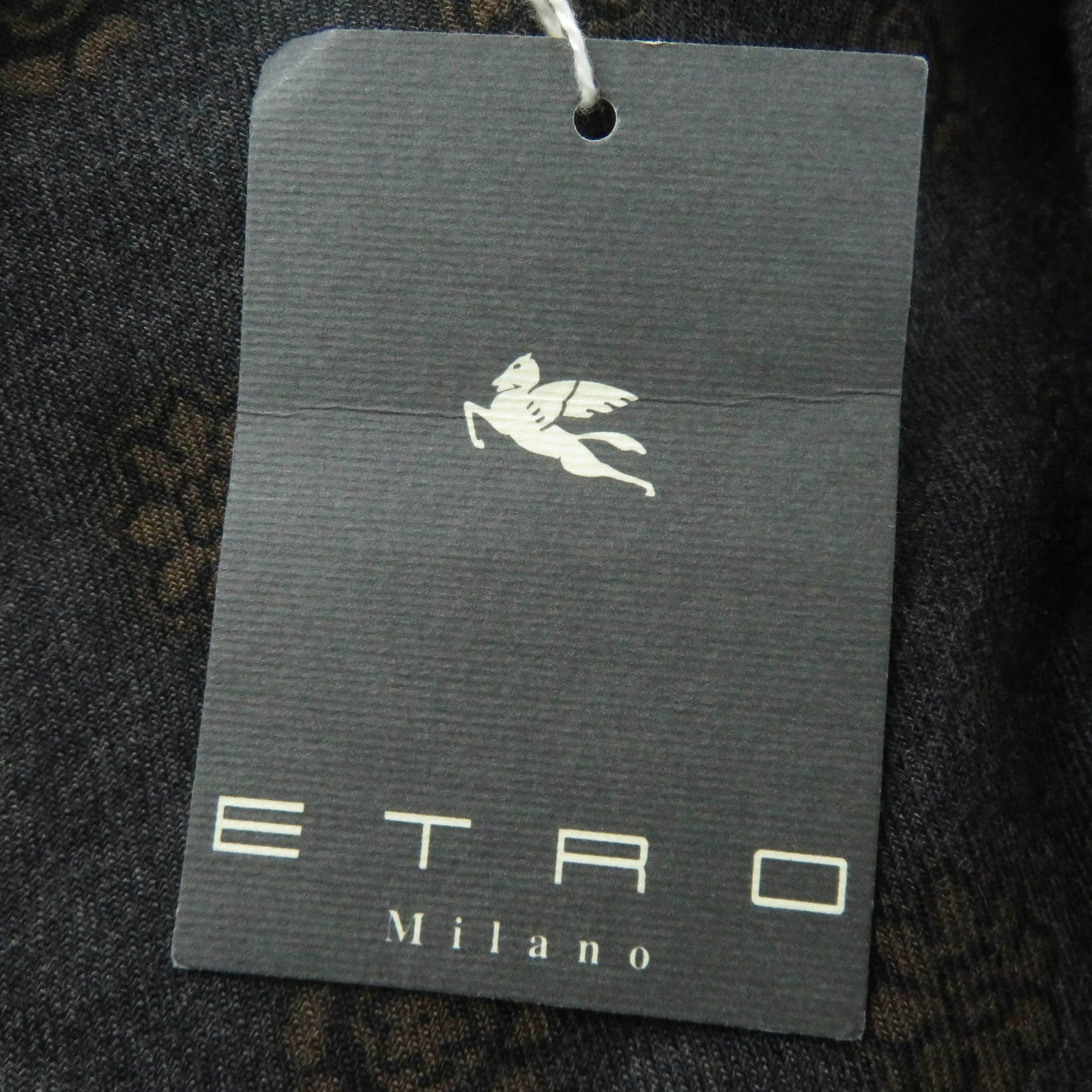 ETRO Wool Silk Large Shawl with Pattern