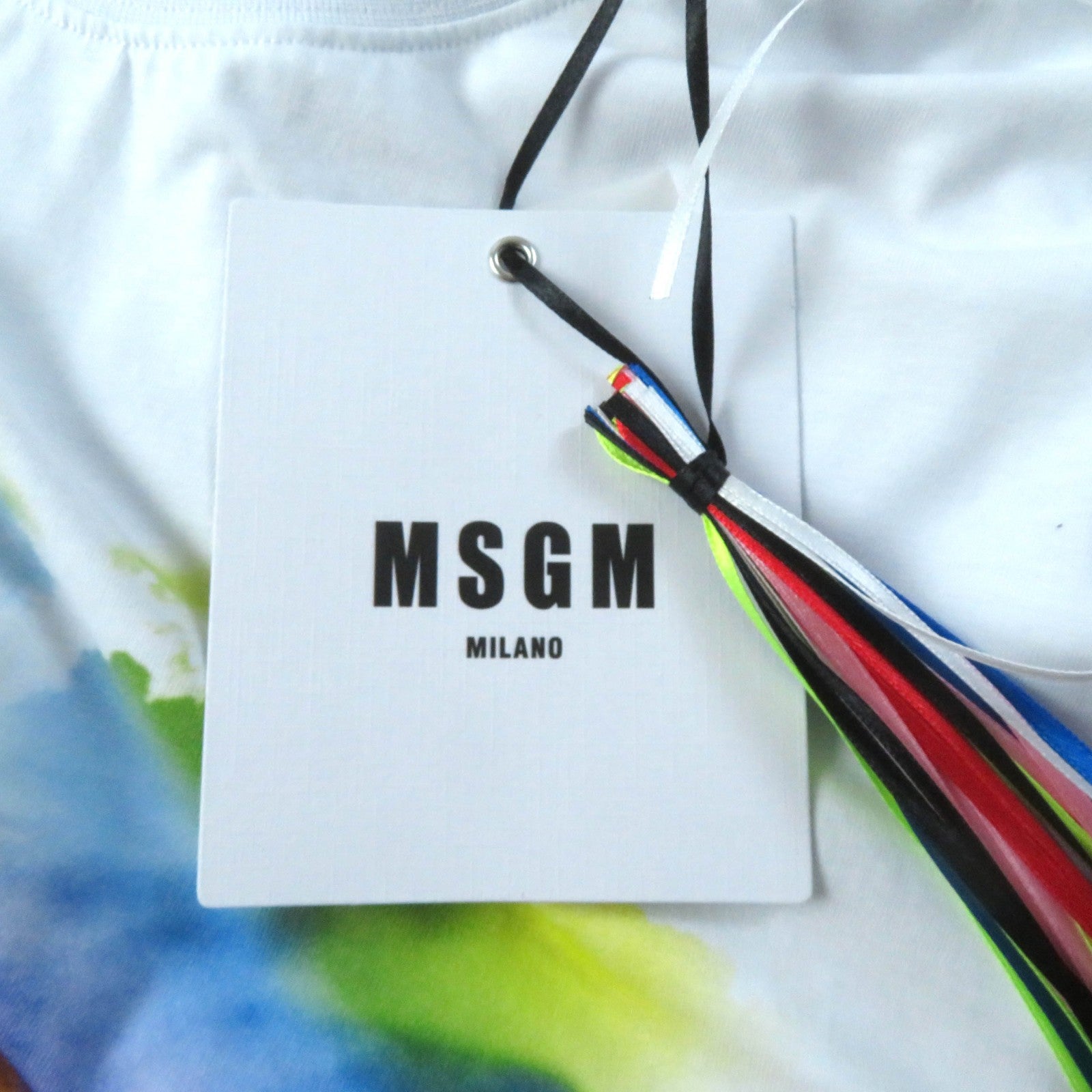 MSGM Rainbow Cat Print Crewneck T-Shirt XXS