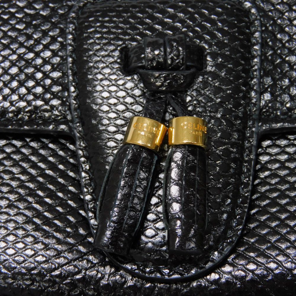 Celine Small Tassel Shoulder Bag 190494BOE.38NO