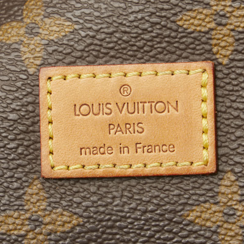 Louis Vuitton Monogram Saumur 30 Shoulder Bag